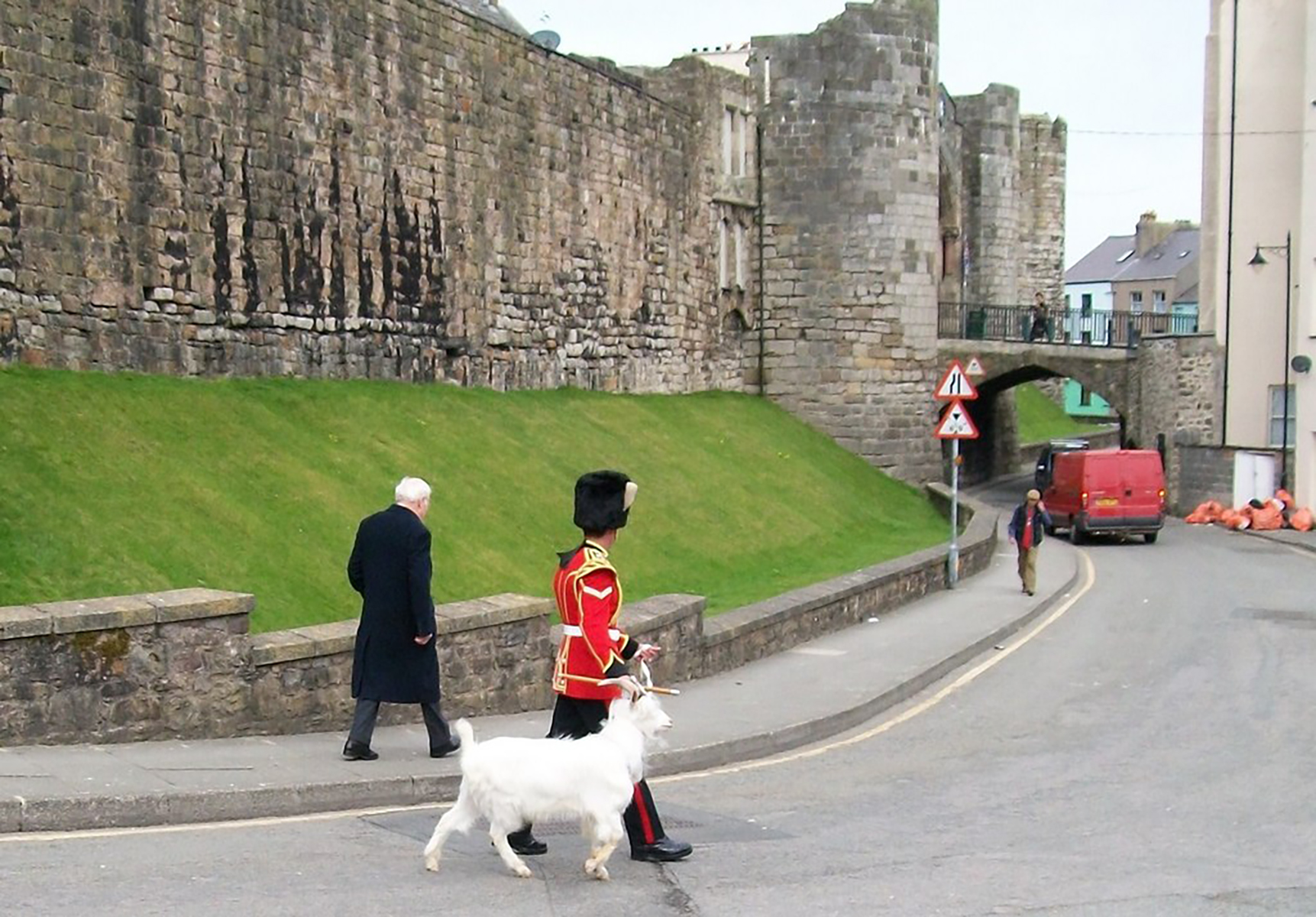 Meet William Windsor: The Royal Goat